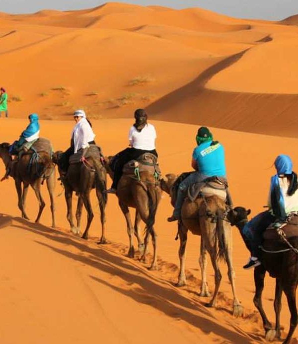 camel trek morocco tour