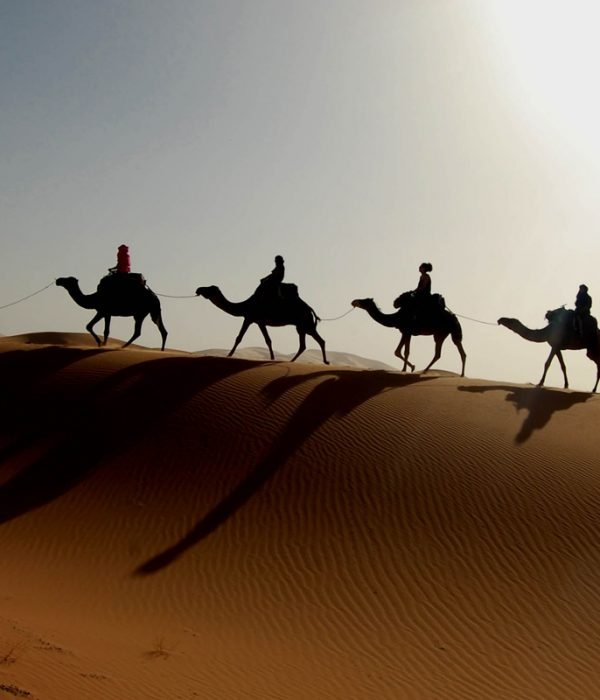 camel trek from marrakech to zagora