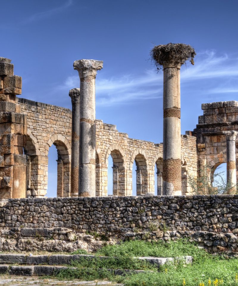 day trip from fez to volubilis