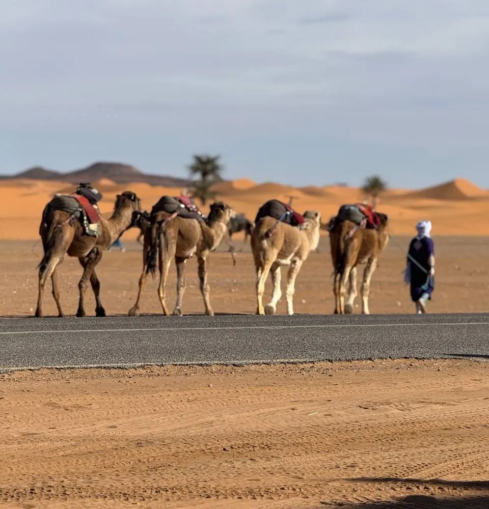 Morocco Tour from Fez in 12 days