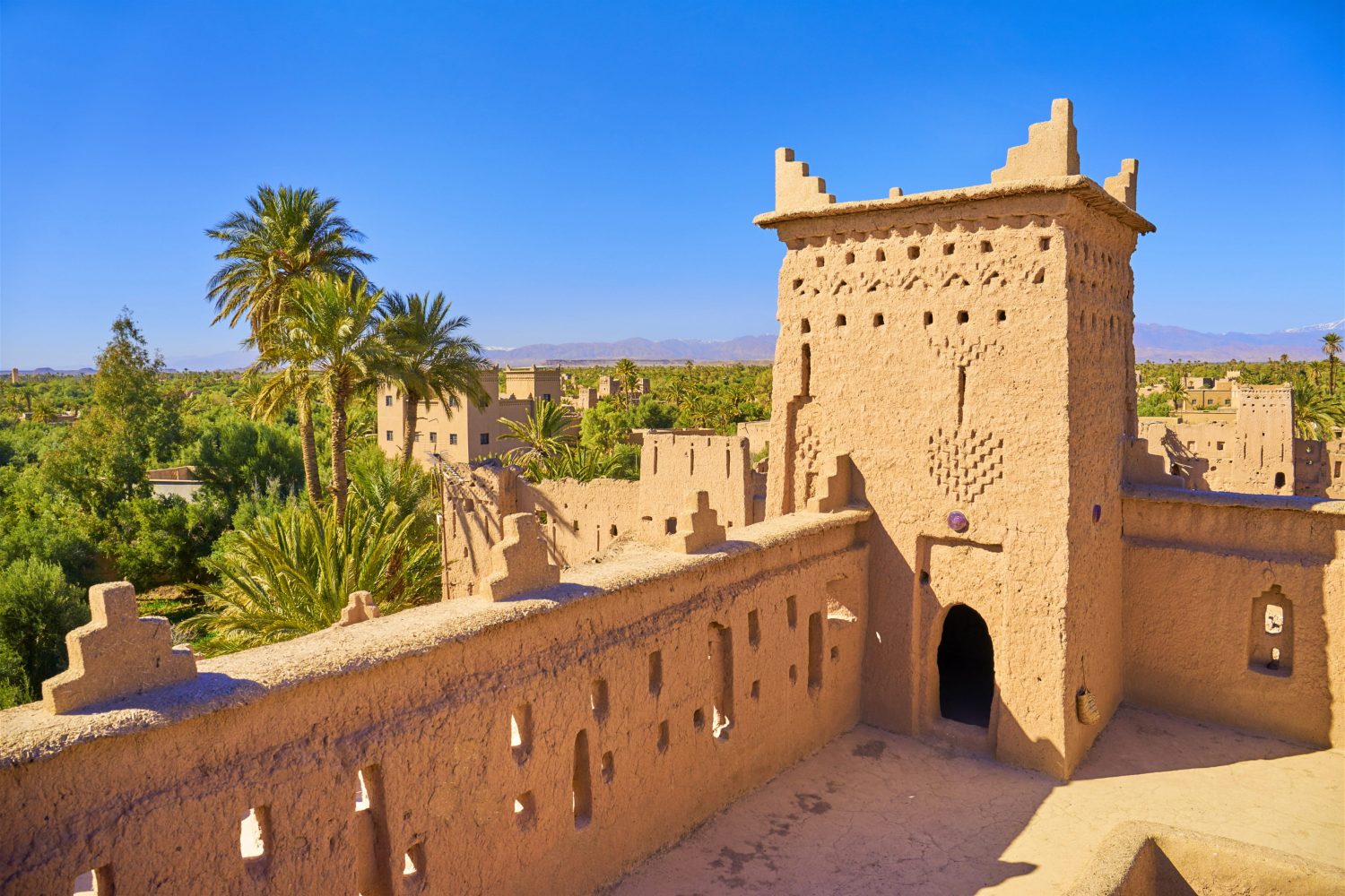 ouarzazate amridil kasbah morocco tours agency