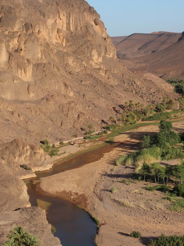 day trip from ouarzazate to fint oasis